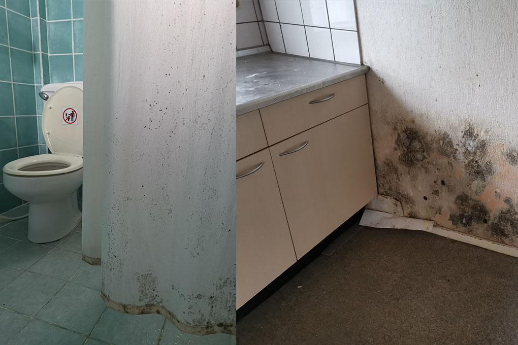 schimmel in de badkamer en keuken